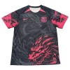 Officiële Voetbalshirt Barcelona Special 2024-25 - Heren